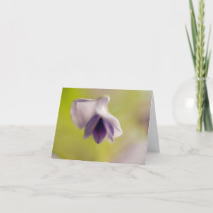 Liebliche Blankkarte für die Blume Dankeskarte