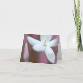 Liebliche Blume geklappte Grußkarte Karte