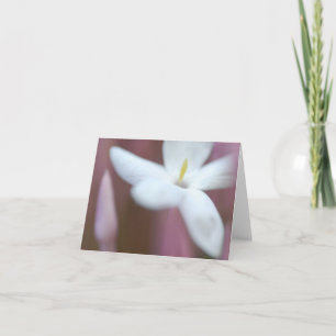 Liebliche Blume geklappte Grußkarte Karte