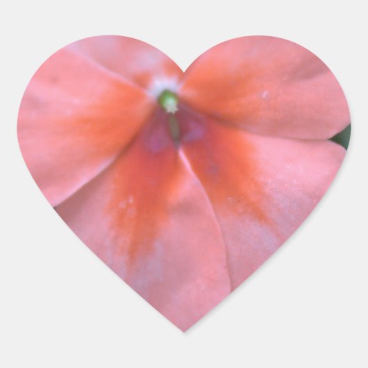 Liebliche Blume in Rosa Garten. Foto Herz-Aufkleber (Vorderseite)