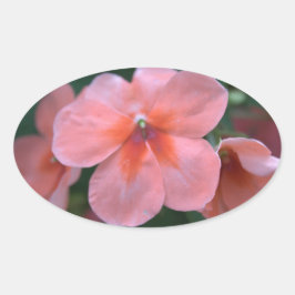 Liebliche Blume in Rosa Garten. Foto Ovaler Aufkleber