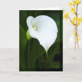Liebliche Calla-Lilie Karte (Gelbe Blume)