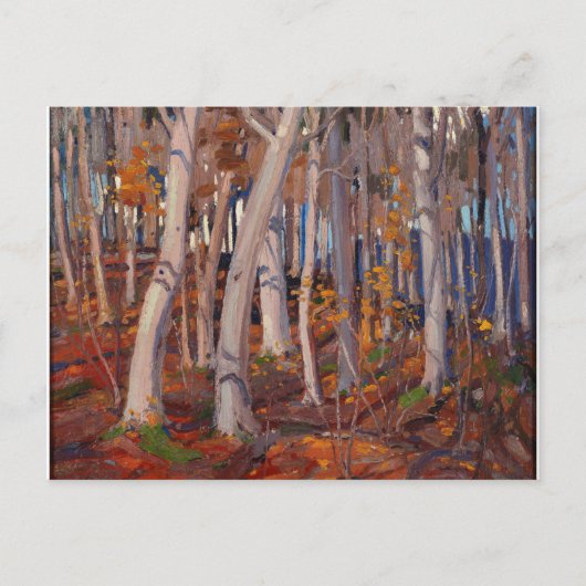 Liebliche Canadian Tom Thomson White Birches Maler Postkarte (Vorderseite)
