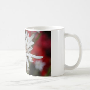 Liebliche Edelweiss Leontopodium nivale Kaffeetasse