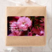 Liebliche Frühlingserreger Rosa Kirschblüten (Insitu)