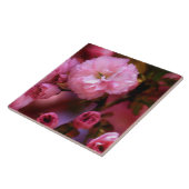 Liebliche Frühlingserreger Rosa Kirschblüten Fliese (Seite)