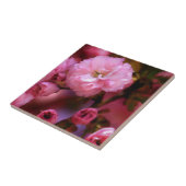 Liebliche Frühlingserreger Rosa Kirschblüten Fliese (Seite)