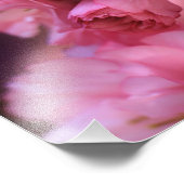 Liebliche Frühlingserreger Rosa Kirschblüten Fotodruck (Ecke)