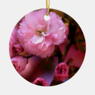 Liebliche Frühlingserreger Rosa Kirschblüten Keramikornament