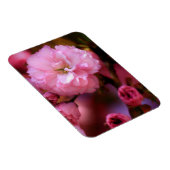 Liebliche Frühlingserreger Rosa Kirschblüten Magnet (Rechte Seite)
