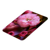 Liebliche Frühlingserreger Rosa Kirschblüten Magnet (Linke Seite)