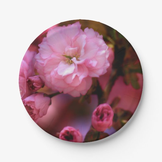 Liebliche Frühlingserreger Rosa Kirschblüten Pappteller (Vorderseite)