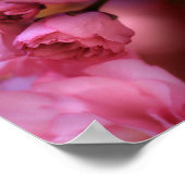 Liebliche Frühlingserreger Rosa Kirschblüten Poster (Ecke)