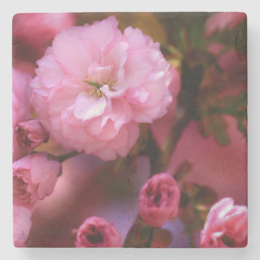 Liebliche Frühlingserreger Rosa Kirschblüten Steinuntersetzer (Vorderseite)