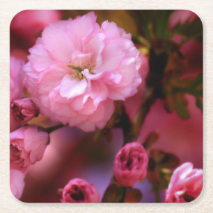 Liebliche Frühlingsrosa Kirschblüten Rechteckiger Pappuntersetzer