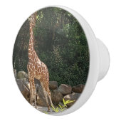 Liebliche Giraffe Keramik Pull Keramikknauf (Rechts)