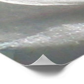 Liebliche Honeysuckle Poster (Ecke)