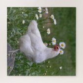 Liebliche Hühner und Daisien Puzzle (Horizontal)