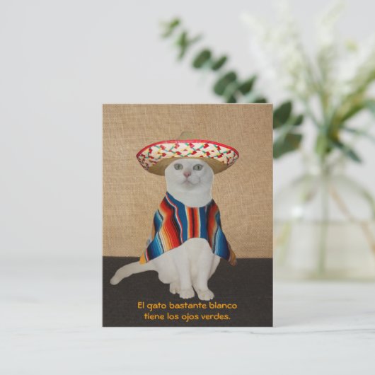 Liebliche Katzen in Sombreros zum Spaß oder Unterr Postkarte (Stehend Vorderseite)