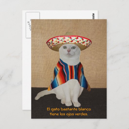Liebliche Katzen in Sombreros zum Spaß oder Unterr Postkarte (Vorne/Hinten)