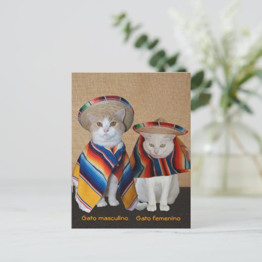 Liebliche Katzen in Sombreros zum Spaß oder Unterr Postkarte (Stehend Vorderseite)
