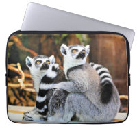 Liebliche Lemurs