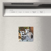 Liebliche Lemurs Magnet (In Situ (Geschirrspüler))
