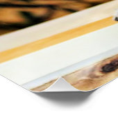 Liebliche Lemurs Poster (Ecke)