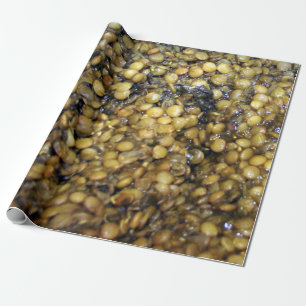 Liebliche Linsen! Geschenkpapier! Geschenkpapier
