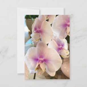 Liebliche Orchideen Dankeskarte