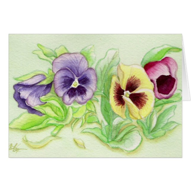 Liebliche Pensies (Vorderseite (Horizontal))