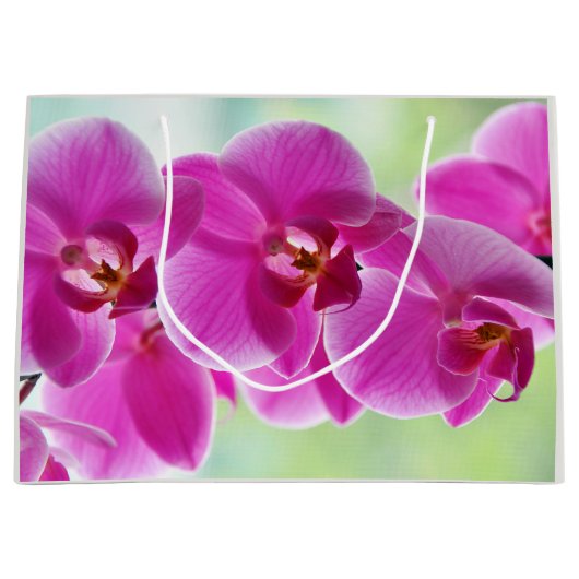 Liebliche rosa Orchideen Große Geschenktüte (Vorderseite)