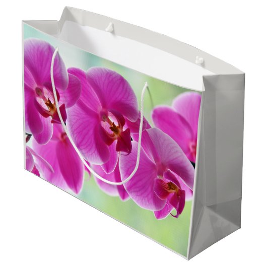 Liebliche rosa Orchideen Große Geschenktüte (Rückseite Schrägansicht)