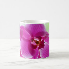 Liebliche rosa Orchideen Kaffeetasse