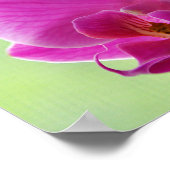 Liebliche rosa Orchids Poster (Ecke)