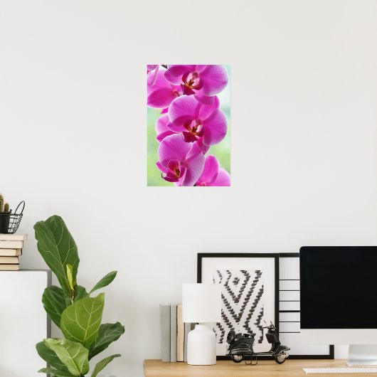 Liebliche rosa Orchids Poster (Heimbüro)