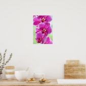Liebliche rosa Orchids Poster (Küche)