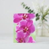 Liebliche rosa Orchids Postkarte (Stehend Vorderseite)
