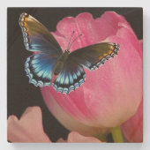 Liebliche Schmetterling und Blume Sandstone Unters Steinuntersetzer (Vorderseite)