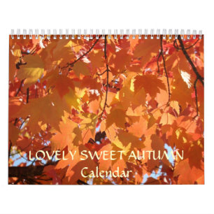 LIEBLICHE SÜSSE HERBST-Kalender Feiertagsgeschenke Kalender