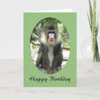 Liebliche Tiernahrung zum Geburtstag