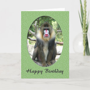 Liebliche Tiernahrung zum Geburtstag Karte