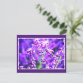 Liebliche violette Blumen Postkarte (Stehend Vorderseite)