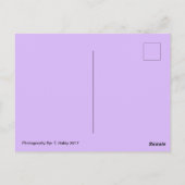 Liebliche violette Blumen Postkarte (Rückseite)