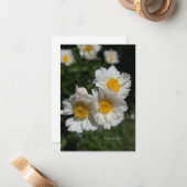 Liebliche weiße Peonies Mitteilungskarte (Vorderseite/Rückseite Beispiel)