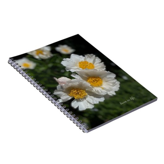 Liebliche weiße Peonies Notizblock (Rechte Seite)