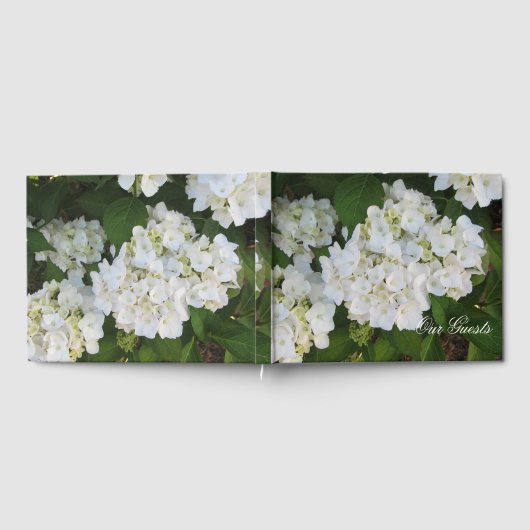 Liebliche White Hydrangeas Gästebuch (Voll)