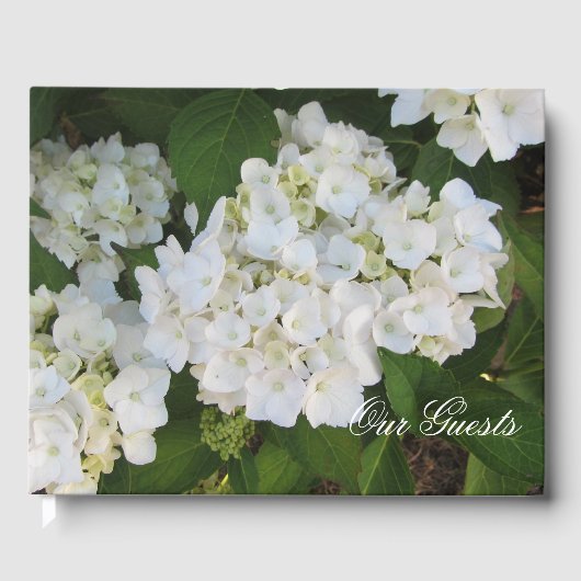 Liebliche White Hydrangeas Gästebuch (Vorderseite)