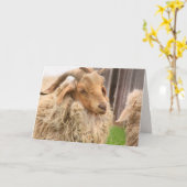 Liebliche Ziege und Kindertageskarte Karte (Gelbe Blume)