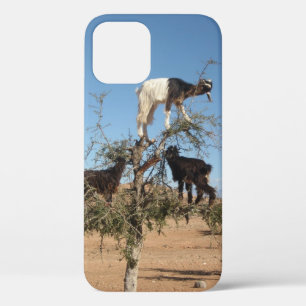 Liebliche Ziegen in einem BaumCase-Mate-iPhone-Geh Case-Mate iPhone Hülle